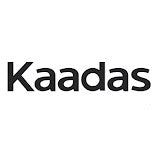 Kaadas 凱迪仕 logo